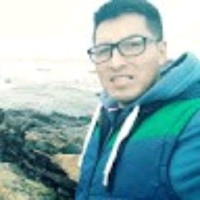 Jesus Alexander Ventura Geldres