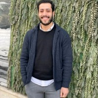 Ahmed Ashour