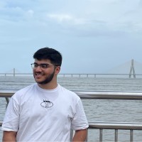 Aditya Raj