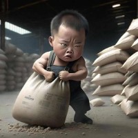 曹其辉