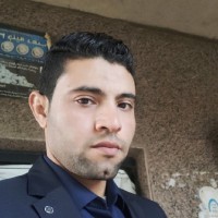 محمد على حسن احمد