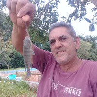 Marcio Jose koschewitz