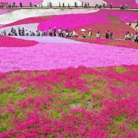 Marianna Christofidou