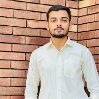 Hamza Arif