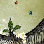 terri duong