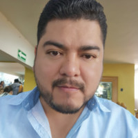 David palmares hdz