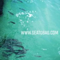 Administrator SEATOBAG