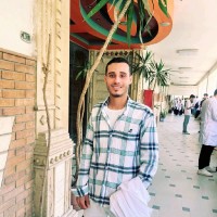 Mohamed Bassem
