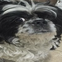 La Troncal Dulce Tierra