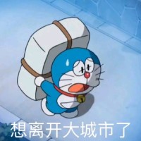 Monn Zhu
