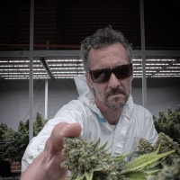 Guido Wainstein