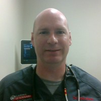 Derek Nestor