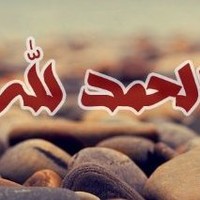 علاء الازايدة