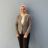 Nariman Amer Hassan