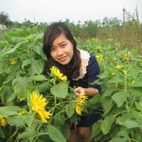 Mai Pham