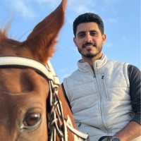 Mohamed Abozied