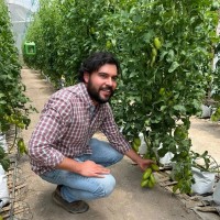 Luis Felipe Amézquita Vega