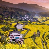 李继东