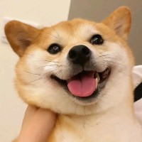 关云龙