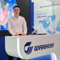 Shuwei Cui