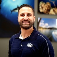 Vinnie Depaoli