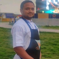 Md Salman Ansari