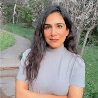 Aleena Iqtidar