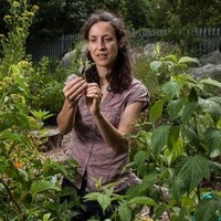 Jo Homan