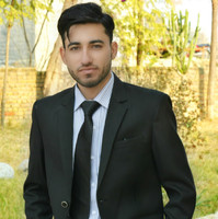Majid Shahzad