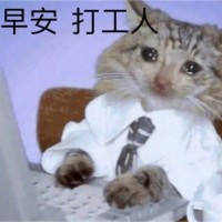 Felix Hui