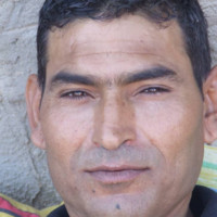 basset benali