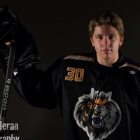 Connor Marfongelli