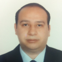 YASSER ELSAYED