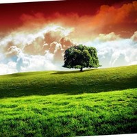 Prem Kumar