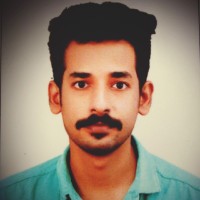 Nandu B