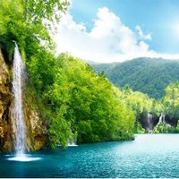 Arwa Ahmed El-sheikh