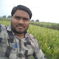 Shaik.Navaz Shareef