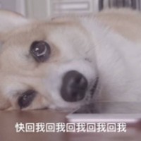 唐祥盛