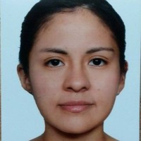 Yazmin Arenas N