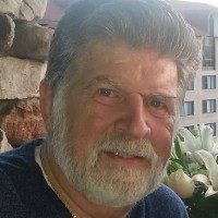 Wayne Gibson