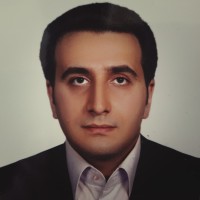amir hossein davami