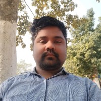 Rajib Ray