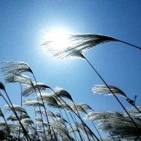 刘祥波