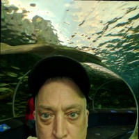 Phil Marinelli