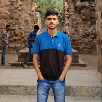 NITIRAJ SINGH CHOUHAN