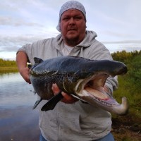 Jani Tick