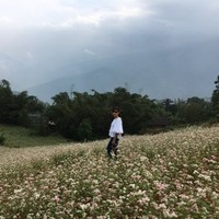 Phan Thuy