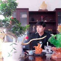 夏保华