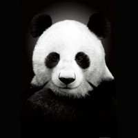 王学敏