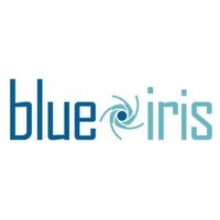 Blue Iris